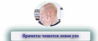 cheshetsya levoe uho primeta7